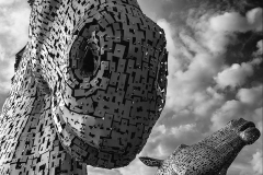 HC-Kelpies-Andy-Fox-1