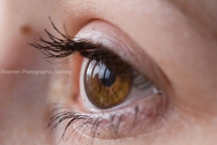 _MG_8955eye