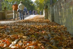 clare bridge