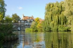 mill pond Cambridge