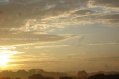 morning sky