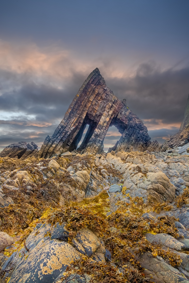 1st-Scapes-David-Waters