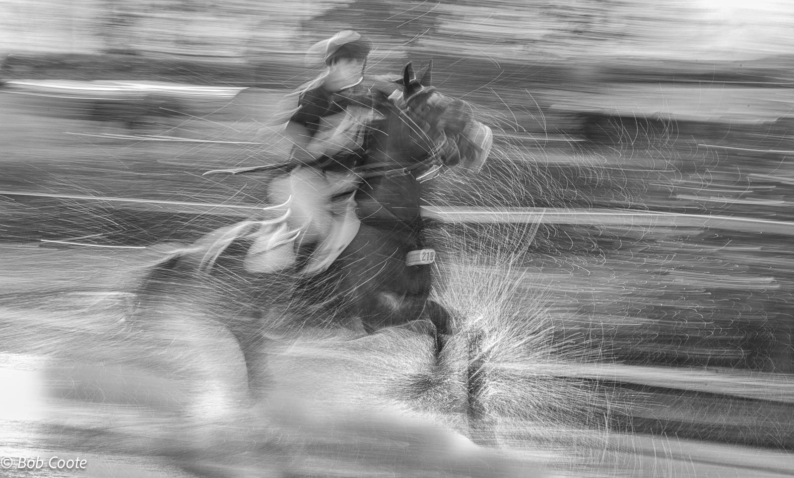 2nd-Bob-Coote-Speedy-Horse-Rider