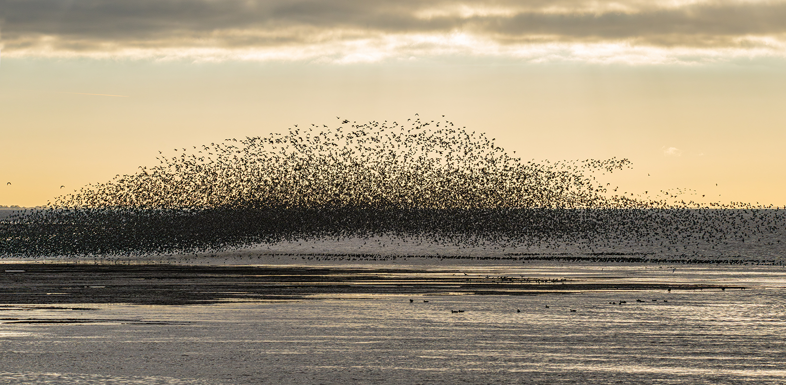 3rd-Andrew-Fox-Snettisham-Evening