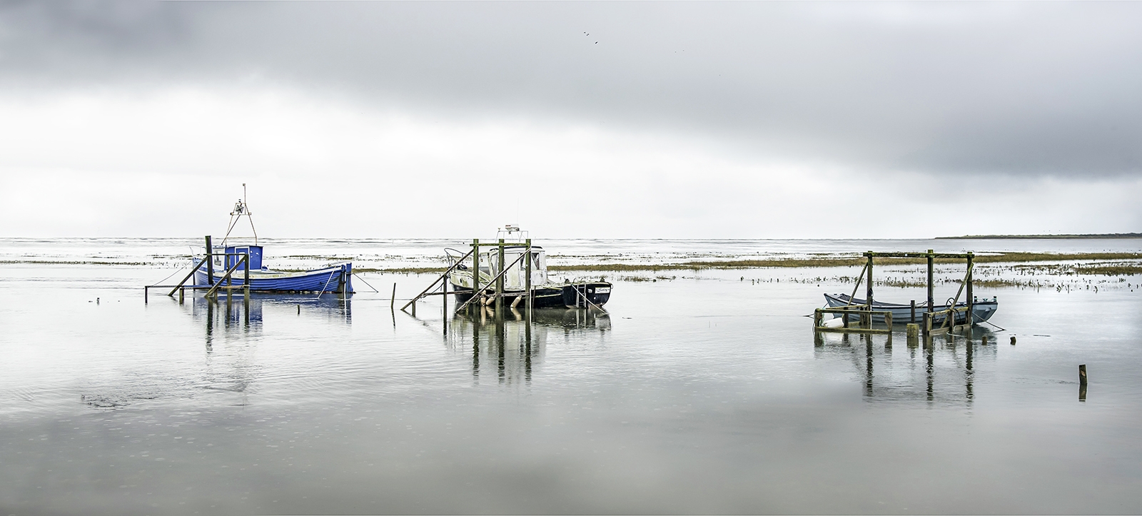 1st : Andy-Fox-Spring-Tide