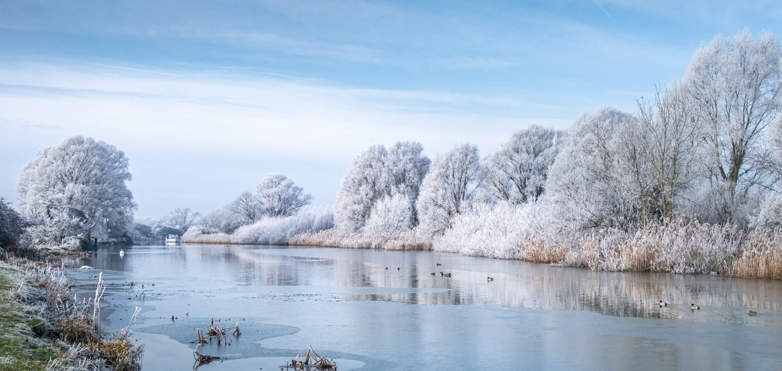 HC-JItka-Bryn-Frozen-Ouse