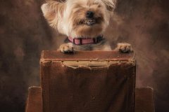 1.-Sam-Orchard-Smile