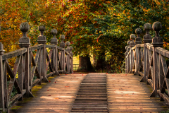 Crossing to Autumn