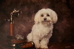 3rd-Sam-Orchard-Waiting-For-a-Call