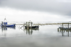 1st : Andy-Fox-Spring-Tide