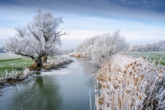 3rd:  Jitka Bryn- Frozen-Landscape