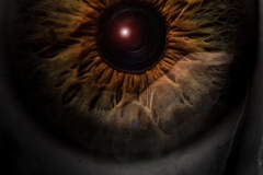 1st:Jim-Cromwell-An-Eye-For-Detail