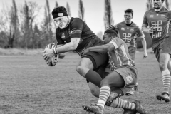 Open 2021- Highly Commende