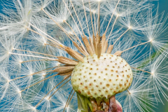 its-1-oclock-Bob-Coote-winner