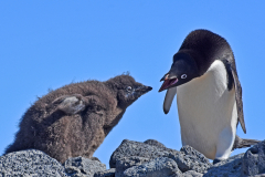 ...and where have YOU been?