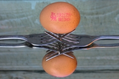 David-Waters-egg2 (1 of 1)