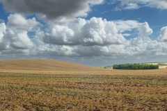 Eversden-Walk-David-Waters-scaled