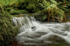 HC-Over-the-Rocks-David-Waters-1