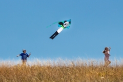 Kite-Runners-David-Waters-1st-