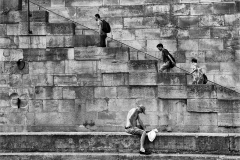 Andy-Fox-Beside-the-Seine