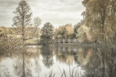 C-David-Waters-Muted-Reflections