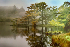 Pat-Flicker-Misty-Morning