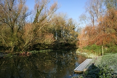 1_Sudbury-Autumn-ambience