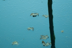 Sudbury-Stick-in-the-mud