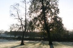 Sudbury-Winter-Sun-Silouette-1-of-1