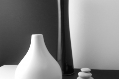 Black and White study