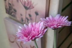 Flowers 1