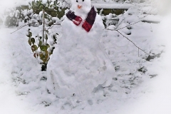 P1010502-snowman-for-xmas-card-copy-scaled