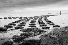 At Cobbald's Point - Jitka Bryn