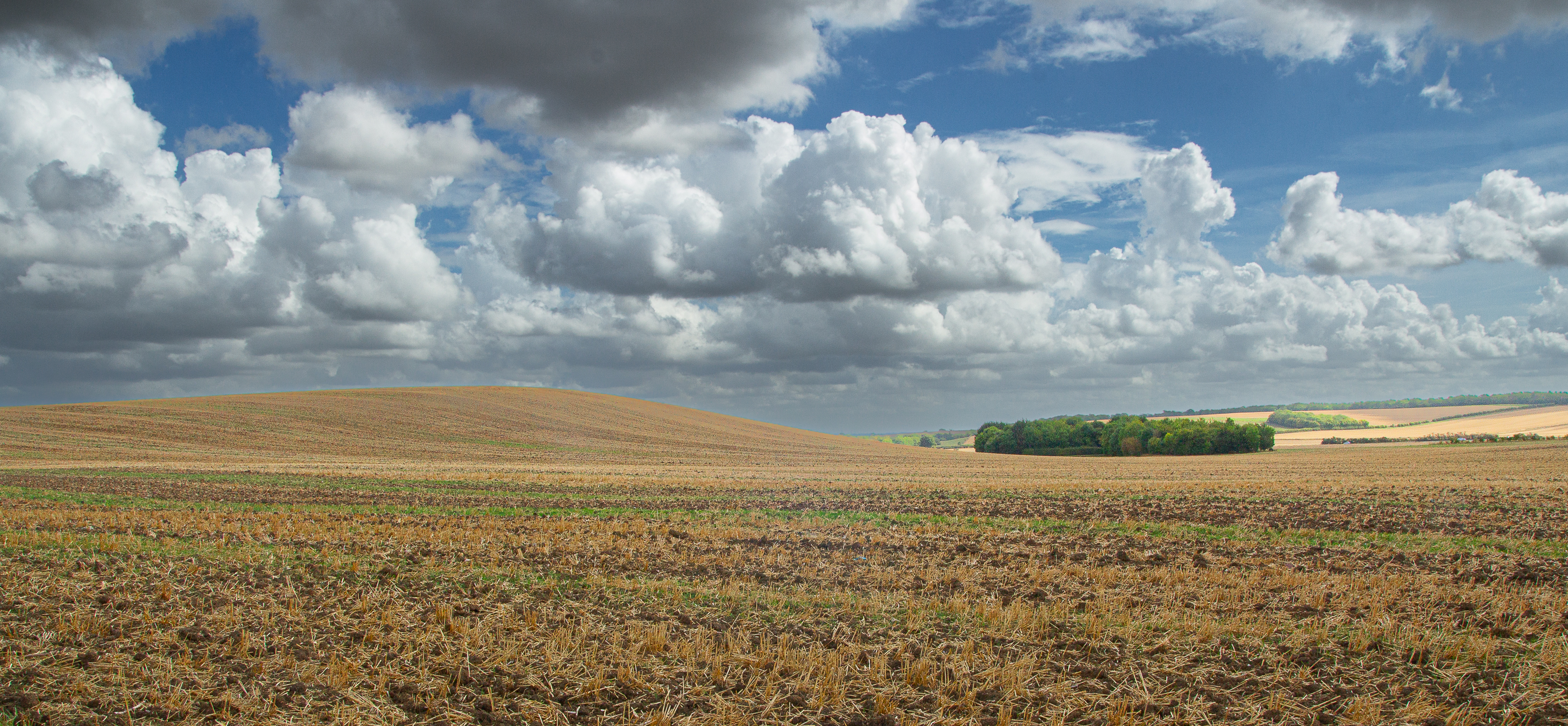 Eversden-Walk-David-Waters