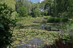 Monet's garden