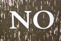 No Painting