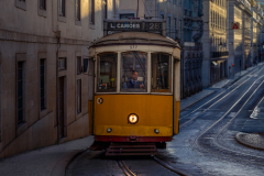 Morning Run to Camoes / Dawn Lines