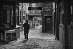 Early-Morning-Shoot-David-Waters