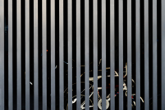 Peter-Baker-Stripes