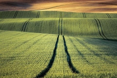 Peter Baker: 2nd place -Public Vote