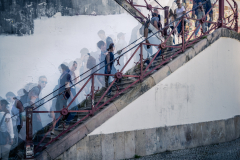 The Flow of the Crowd