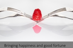 6. Bringing happiness & good fortune.