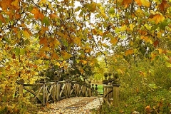 22045646_10214531623631503_4208513872048580688_n