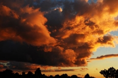 Morton-Street-Sunset_-Terry-Hartga