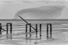 Snettisham-swirl-BobCoote