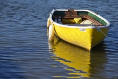 Yellow-Reflection-Wells-Sue-Hartga