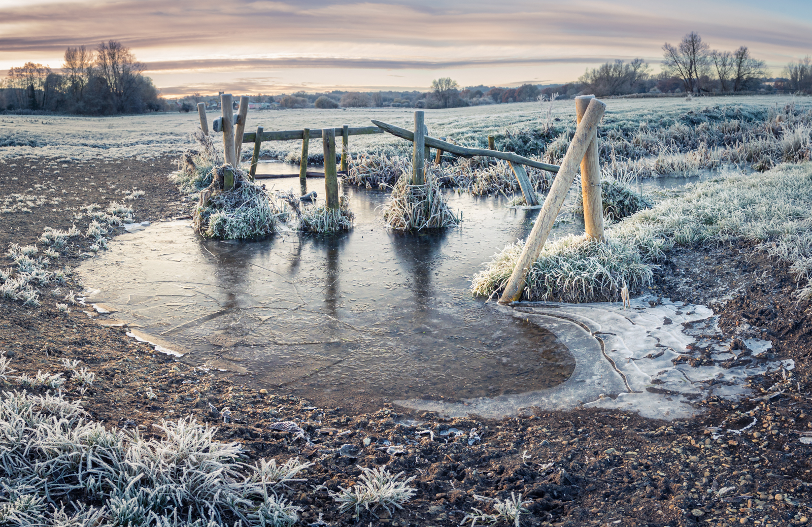 Frozen Fillingpit Meadows