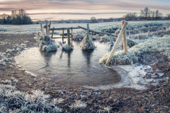Frozen Fillingpit Meadows