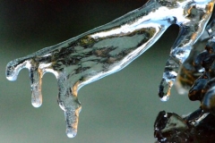 Icicles