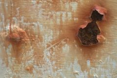 rusty-hulk-at-blakeney-point